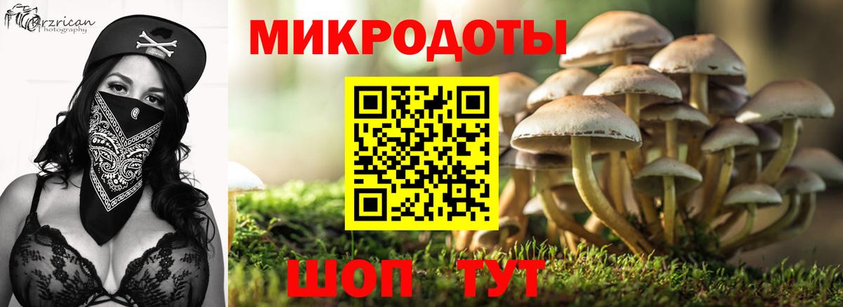 Галлюциногенные грибы Psilocybe  Вход с VPN  Луховицы 
